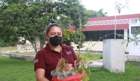 Donación de árboles a la Universidad de Oriente